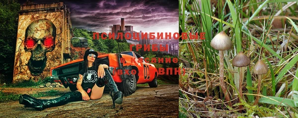 ALPHA PVP Абаза